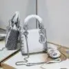 DIOR Oblique Shoulder Bag
