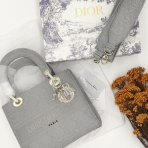 Dior Lady D-Lite Bag