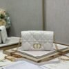 DIOR Caro Cannage Pouch