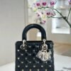 Dior Lady Bag