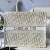 Christian Dior Book Tote