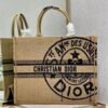 Dior Book Tote Bag