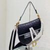 Dior Saddle Strap Bag