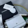 CHANEL Wallet on Chain Bag