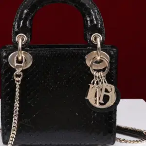 DIOR Black Python Skin Mini Chain Tote Bag