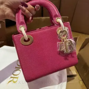 DIOR Lady D-Joy Bag
