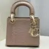 DIOR Lady D-Joy Bag