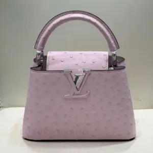 Louis Vuitton Capucines Mini Bag