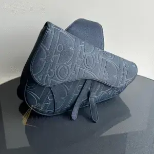 DIOR Saddle Bag